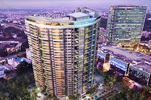 Phoenix Kessaku - Project Image