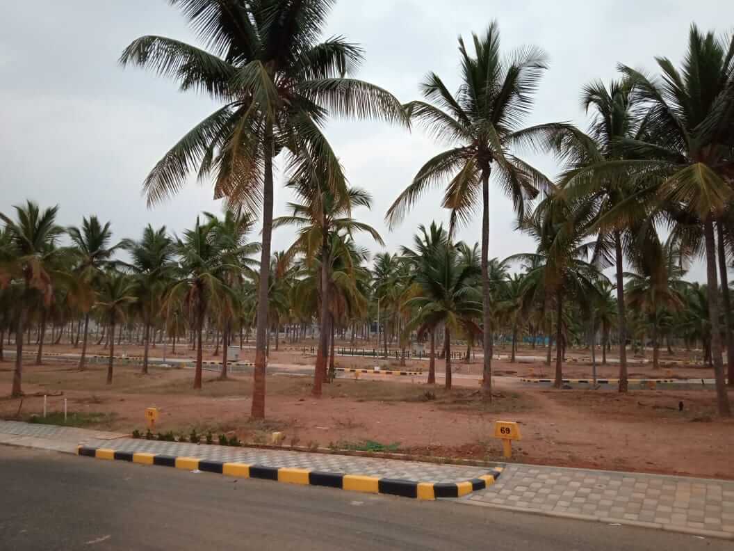 Ready 30x40 Plot for Sale in Salarpuria Serene Life