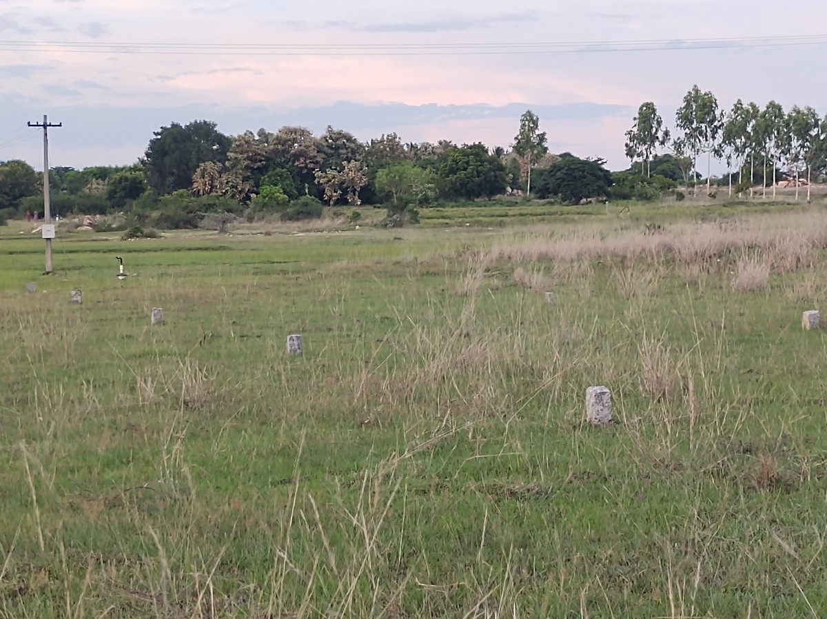 Owner-Listed Residential Land/Plot in Majestic Avenue, Tiruttani