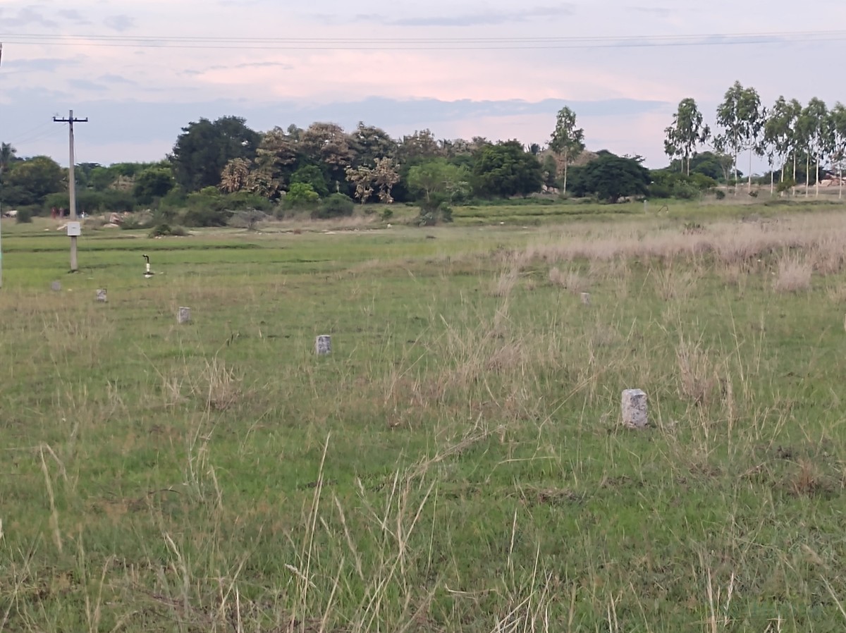 Owner-Listed Residential Land/Plot in Majestic Avenue, Tiruttani - Image 7